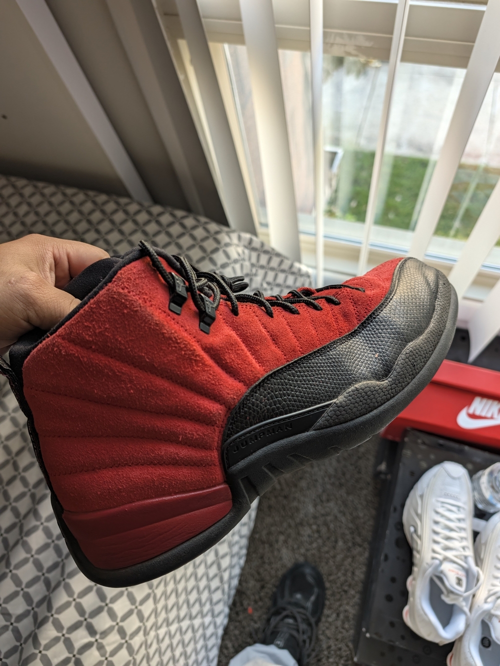 Air Jordan 12 Retro " Reverse Flu Game"